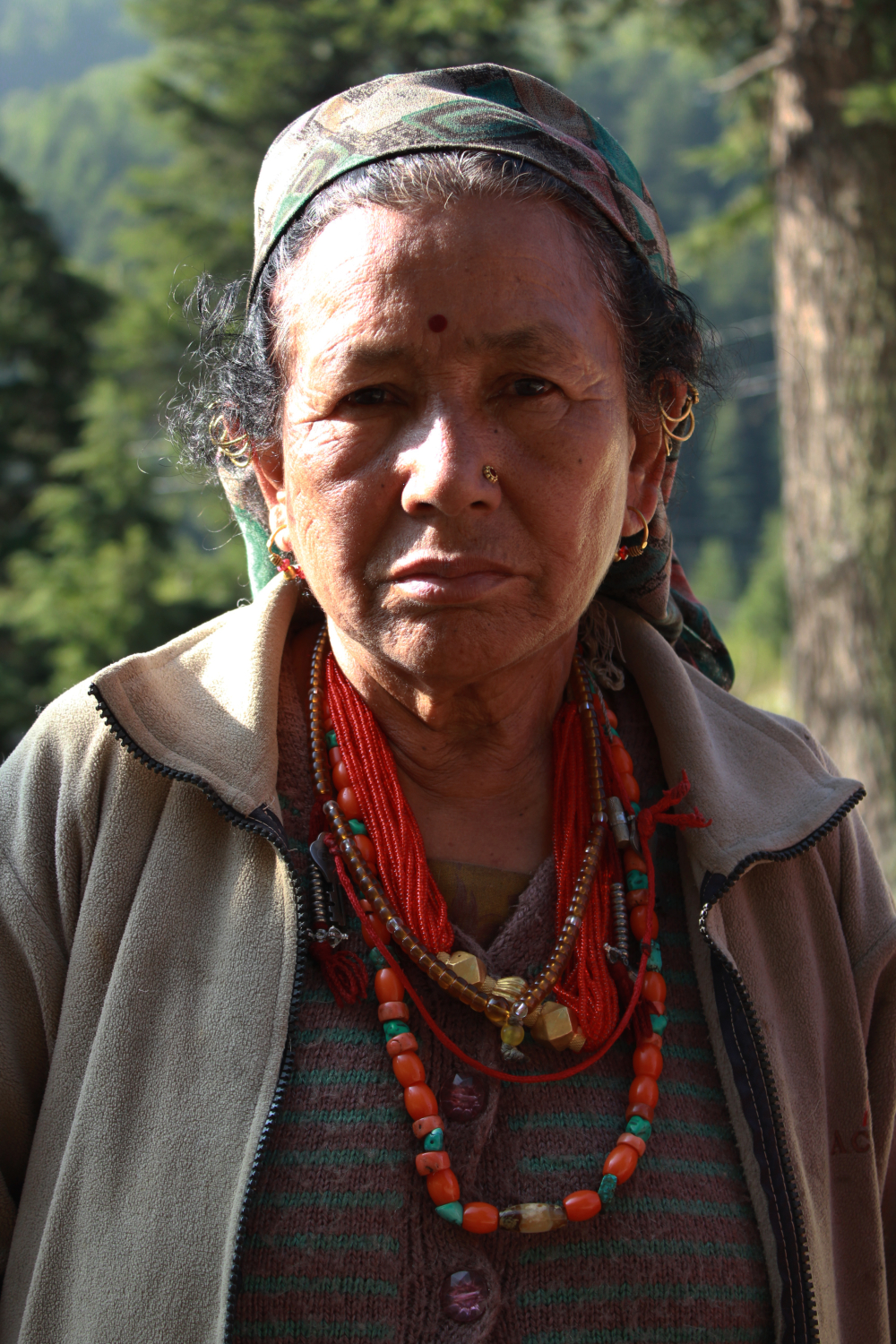 The Jadh Bhotiya Community of Bagori Village Sahapedia